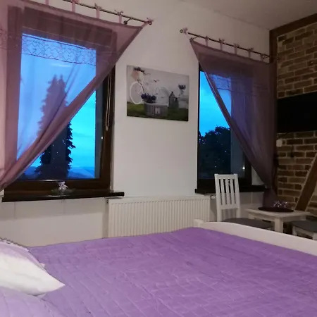 Sielsko Anielsko Pensión *