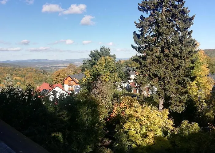 Sielsko Anielsko בית הארחה 3*